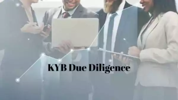 Role Of KYB Due Diligence In The Transparent Financial World